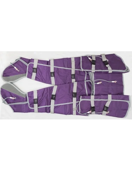 Presoterapia Profesional Portátil